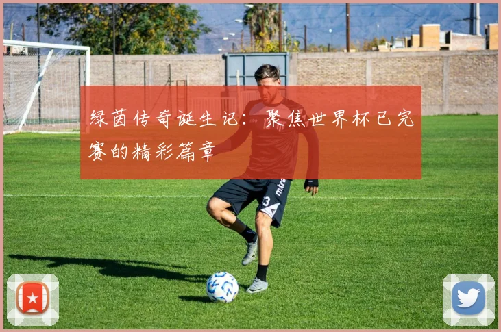 绿茵传奇诞生记：聚焦世界杯已完赛的精彩篇章
