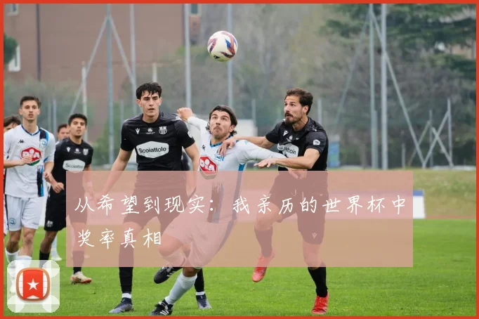 从希望到现实：我亲历的世界杯中奖率真相