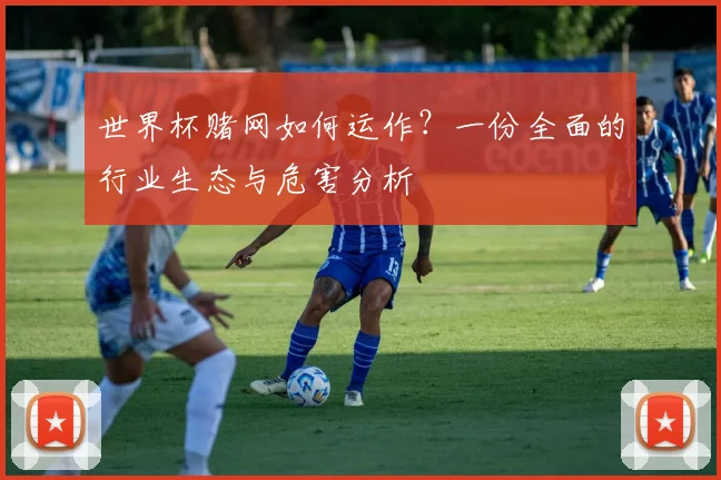 世界杯赌网如何运作?一份全面的行业生态与危害分析