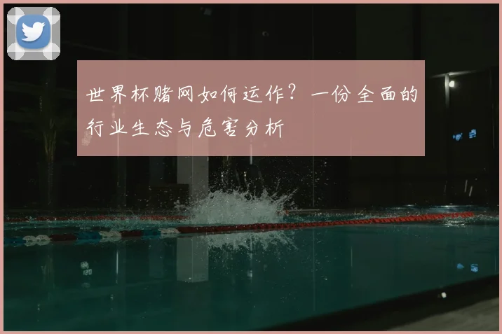 世界杯赌网如何运作？一份全面的行业生态与危害分析
